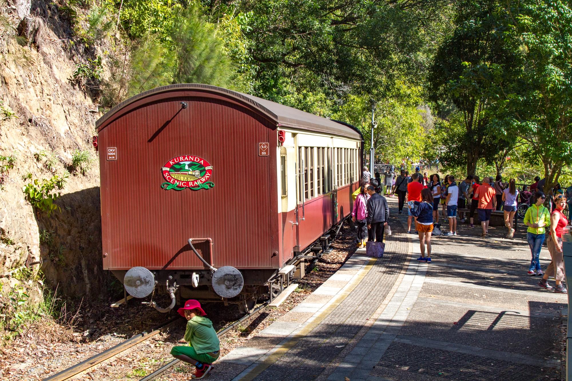 08_20150813   AUS 464   Kuranda